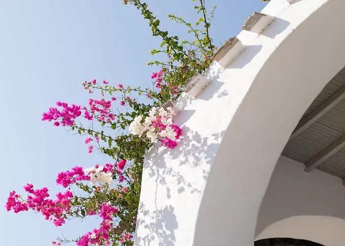 Apartamento Apostolis Windmill Psarou (Mykonos)