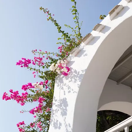 Appartement Apostolis Windmill Psarou (Mykonos)