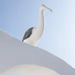 Apostolis Windmill