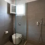 Apostolis Windmill Appartement